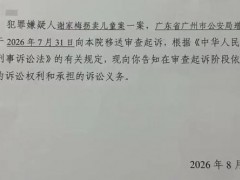 村民谈“梅姨”：叫的其实是“媒姨” 真名谢家梅浮现[推荐]