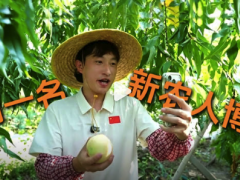 小伙卖10000箱水蜜桃为母亲分担[推荐]