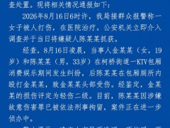 男子在KTV包厢厕所殴打女子被刑拘 警方通报详情[推荐]