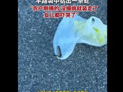 女子买葡萄袋中钻出一条小蛇：已放生，粗心购物意外连连[推荐]