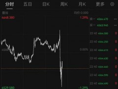 沃什讲话后黄金直线跳水 强烈通胀警告震动市场[推荐]