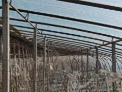 千亩耕地竟遭撂荒 荒废多年仍领补贴 虚假项目套取补贴[推荐]